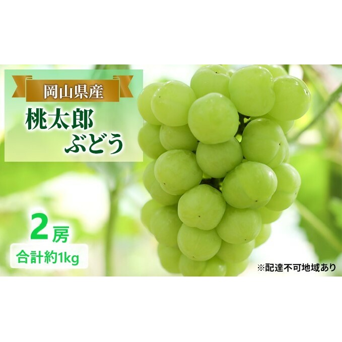 ぶどう 【2025年 早期受付】 桃太郎ぶどう 2房 合計約1kg ブドウ 葡萄 岡山県産 国産 フルーツ 果物 ギフト岡山県玉野市30000果物・フルーツマスカット・ぶどう