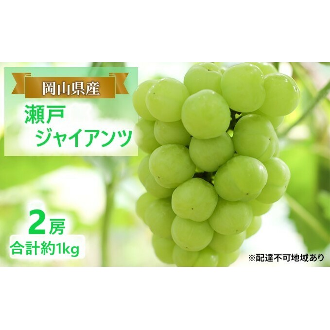 Ԃǂ y2025N tz ˃WCAc 2[ v1kg uhE  RY Y t[c ʕ MtgRʖs30000ʕEt[c}XJbgEԂǂ