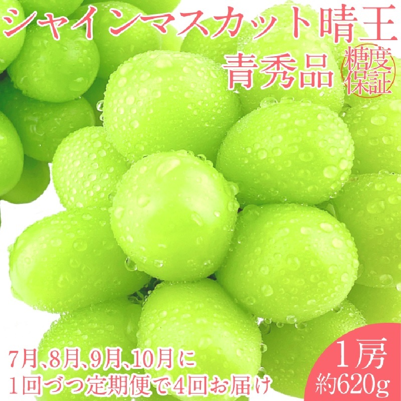 2025年 予約受付中【4回定期便】 シャインマスカット 晴王1房 約620g 7月〜10月出荷/ 岡山県産 種無し 皮ごと食べる みずみずしい フレッシュ 晴れの国 おかやま 果物大国 彩美菜果岡山県玉野