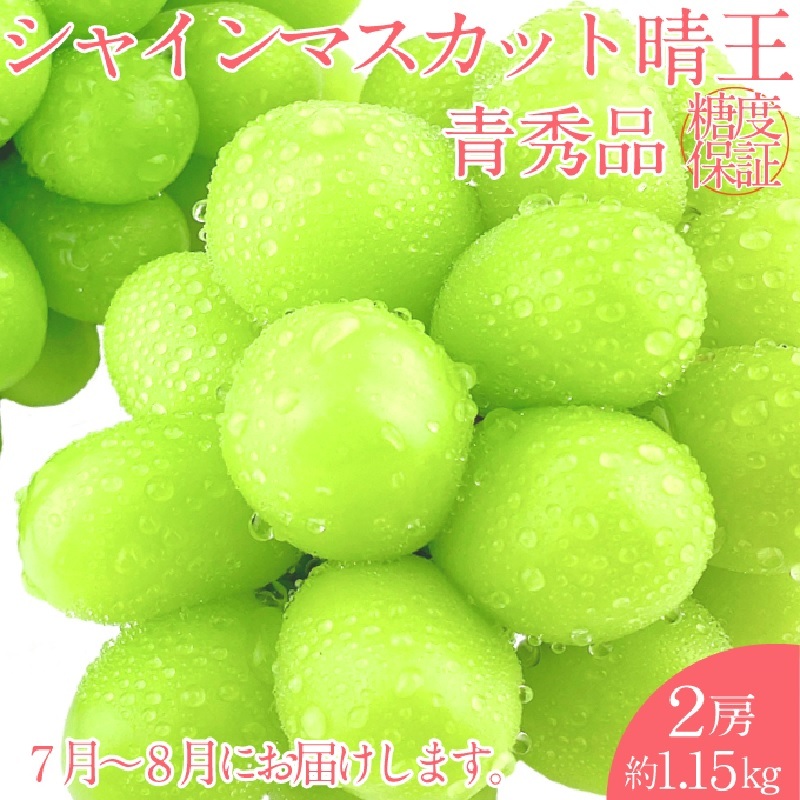 【2025年 予約受付中】 シャインマスカット 晴王 2房約1.15kg 7月〜8月出荷/ 岡山県産 種無し 皮ごと食べる みずみずしい フレッシュ 晴れの国 おかやま 果物大国 彩美菜果岡山県玉野市41000果物