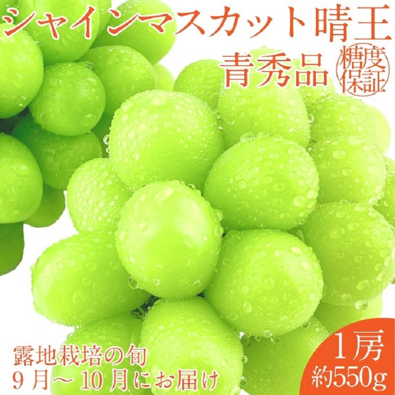 【2025年 予約受付中】 シャインマスカット 晴王 1房約550g 9月〜10月出荷/ 岡山県産 種無し 皮ごと食べる みずみずしい フレッシュ 晴れの国 おかやま  果物大国 彩美菜果岡山県玉野市18000果