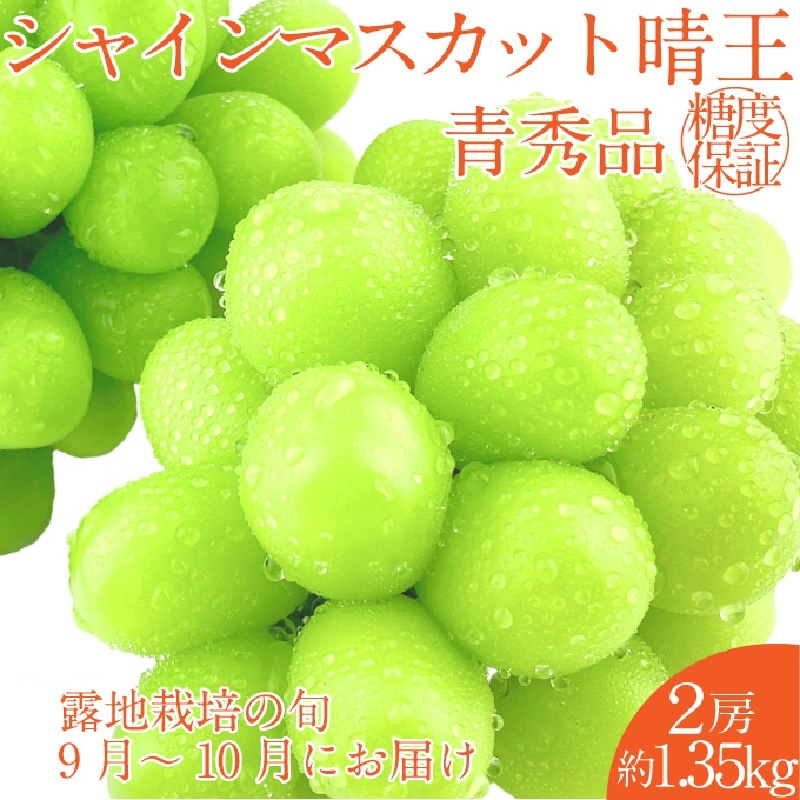 【2025年 予約受付中】 シャインマスカット 晴王 2房 約1.35kg 9月〜10月出荷/ 岡山県産 種無し 皮ごと食べる みずみずしい  フレッシュ 晴れの国 おかやま 果物大国 彩美菜果岡山県玉野市34000果