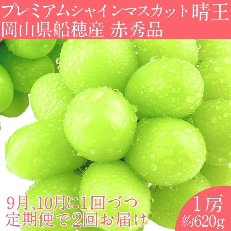 2025年 予約受付中【2回定期便】 プレミアム シャインマスカット 晴王 1房約620g/ 岡山県 船穂産 赤秀品 種無し 皮ごと食べる みずみずしい 9月10月にお届け フレッシュ 晴れの国 おかやま 果物