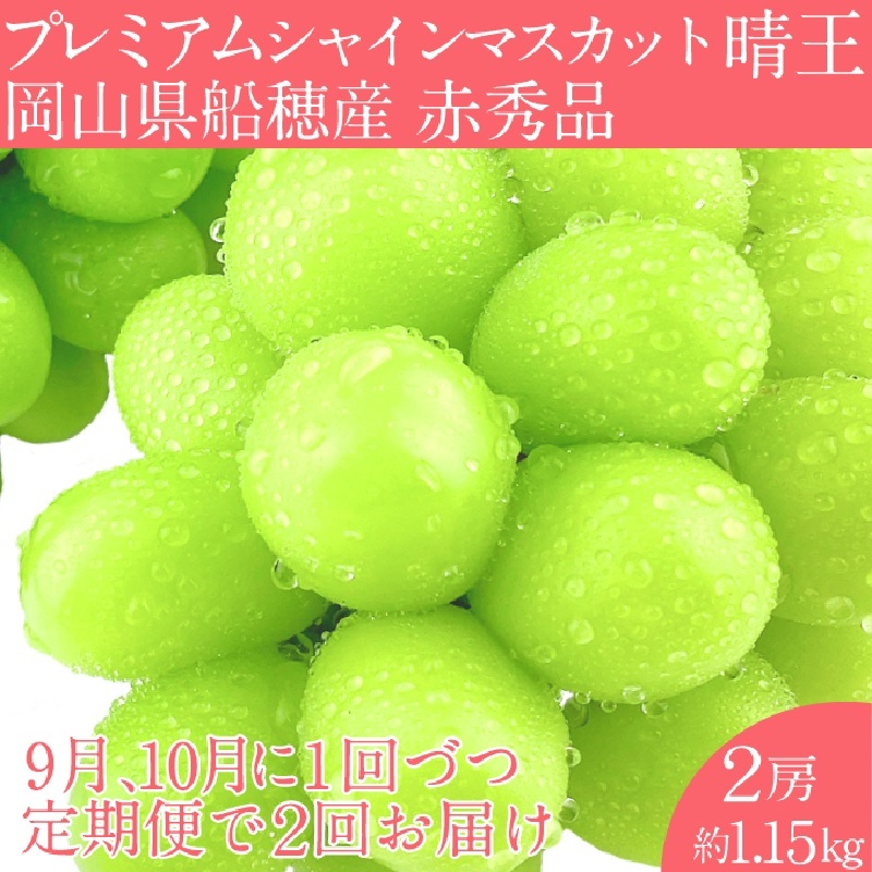 2025 年予約受付中【2回定期便】 プレミアム シャインマスカット 晴王 2房約1.15kg/ 岡山県 船穂産 赤秀品 種無し 皮ごと食べる みずみずしい 9月10月に1回づつ届け フレッシュ 晴れの国 おかや