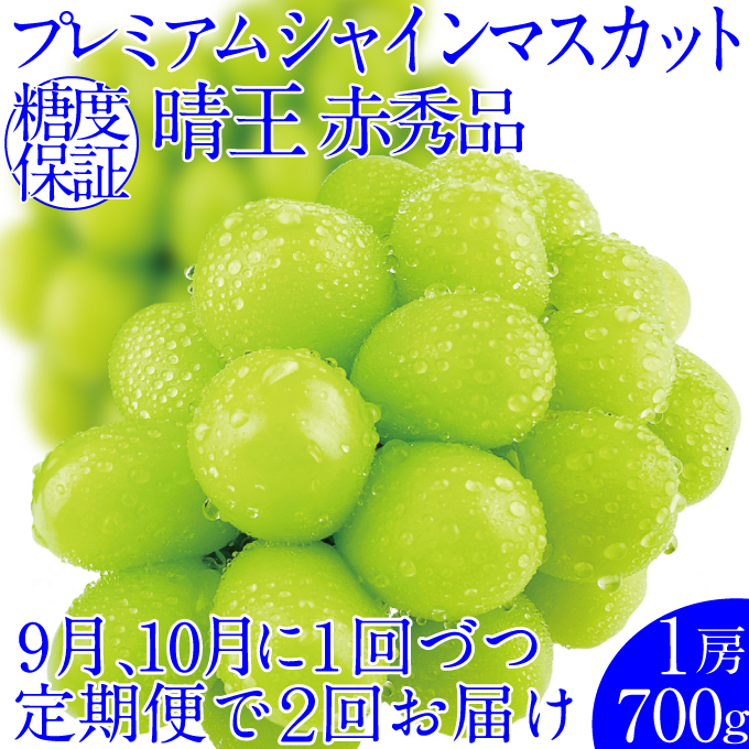 2025N\ty2ցz v~AVC}XJbg 1[700g/lC RY ԏGi  햳 炲ƐHׂ ݂݂ 9E10ɂ͂   nmt[cRʖs51000