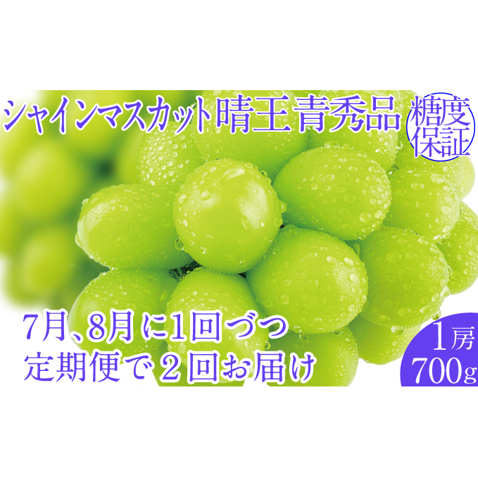 2025年予約受付中【2回定期便】シャインマスカット晴王1房 約700g 7月8月に出荷  人気 岡山県産 種無し 皮ごと食べる みずみずしい  フレッシュ 晴れの国 おかやま 果物大国 ハレノフルーツ岡