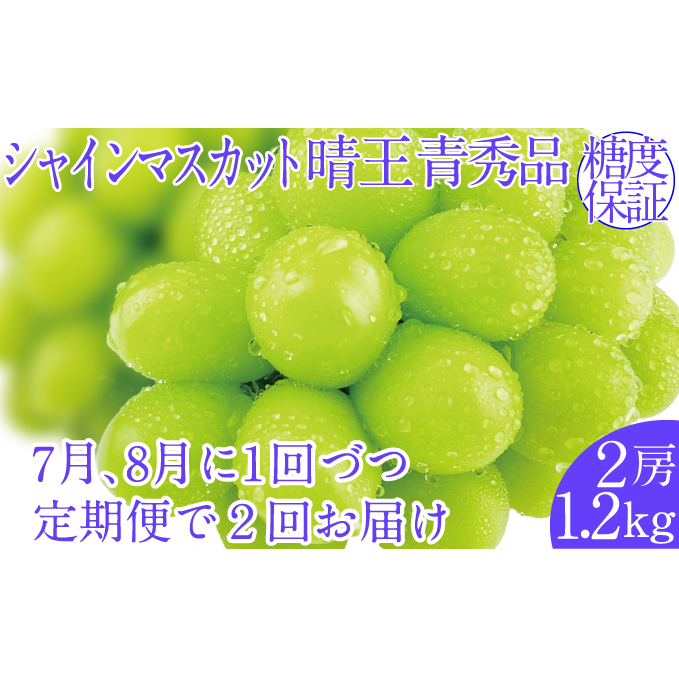 2025N\ty2ցzVC}XJbg 2[ 1.2kg 78ɏo lC RY 햳 炲ƐHׂ ݂݂    ʕ卑 nmt[cRʖs88000ʕ