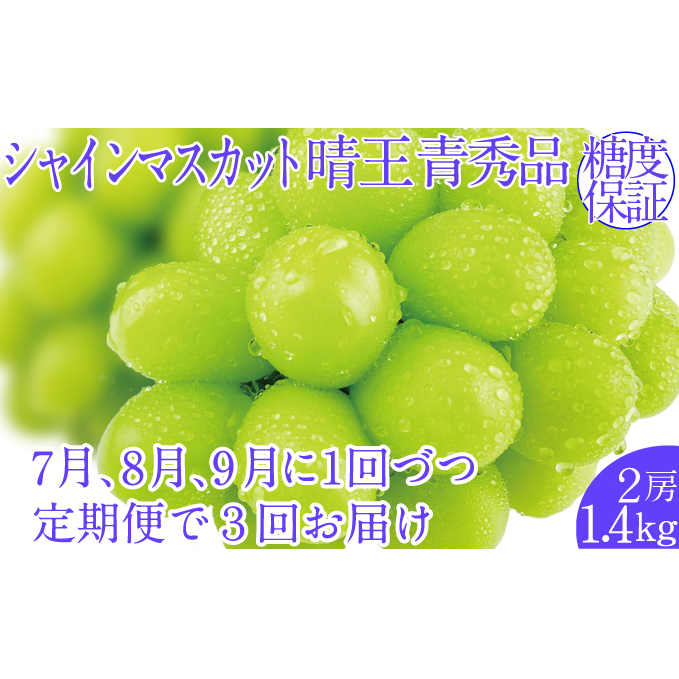 2025N\ty3ցzVC}XJbg 2[ 1.4kg 789ɏo  lC RY 햳 炲ƐHׂ ݂݂   nmt[cRʖs138000ʕEt[c}X
