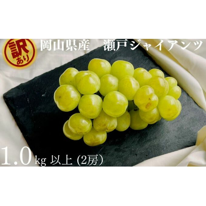 󂠂 ˃WCAc@2[ v1.0kgȏ Yn ̂ Ԃǂ  R Kawahara Green Farm RY 2025Rʖs10000ʕEt[c}XJbgEԂǂ