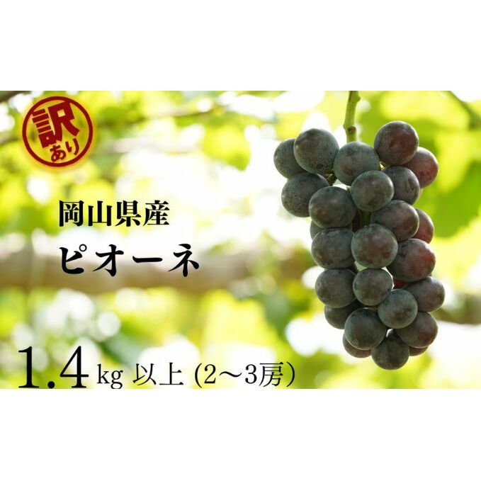 󂠂 j[sI[l@2`3[ v1.4kgȏ Yn ̂ Ԃǂ  R Kawahara Green Farm RY 2025Rʖs11000ʕEt[c}XJbgEԂǂ