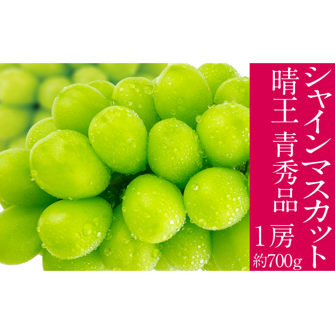 2025年予約受付中 シャインマスカット 晴王 7月〜8月出荷 1房 約700g  人気 岡山県産 種無し 皮ごと食べる みずみずしい  フレッシュ 晴れの国 おかやま 果物大国 ハレノフルーツ岡山県玉野市33