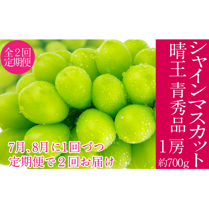 2025年予約受付中【2回定期便】 シャインマスカット 晴王 7月8月に1回づつ出荷  1房 約700g  人気 岡山県産 種無し 皮ごと食べる みずみずしい  フレッシュ 晴れの国 おかやま 果物大国 ハレノ