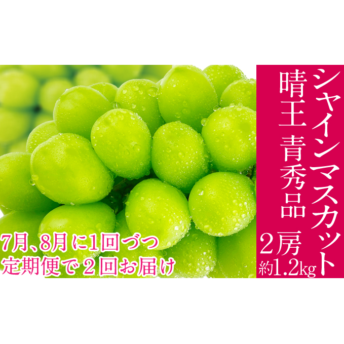 2025年予約受付中【2回定期便】 シャインマスカット 晴王 7月8月に1回づつ出荷  2房 約1.2kg  人気 岡山県産 種無し 皮ごと食べる みずみずしい  フレッシュ 晴れの国 おかやま 果物大国 ハレノ