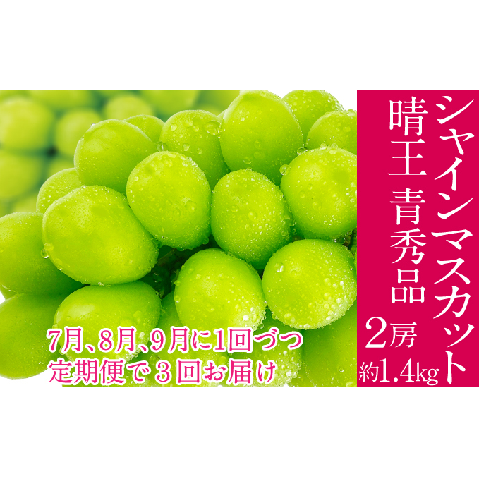 2025年予約受付中【3回定期便】 シャインマスカット 晴王 7月8月9月に1回づつ出荷  2房 1.4kg 人気 岡山県産 種無し 皮ごと食べる みずみずしい  フレッシュ 晴れの国 おかやま 果物大国 ハレノ