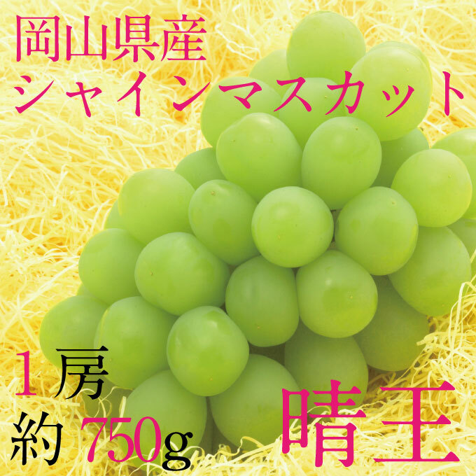 [HS]Ԃǂ 2025N s\ 9E10 VC}XJbg  1[ 750g uhE  RY Y t[c ʕ MtgRʖs24000ʕEt[c}XJbgEԂǂ