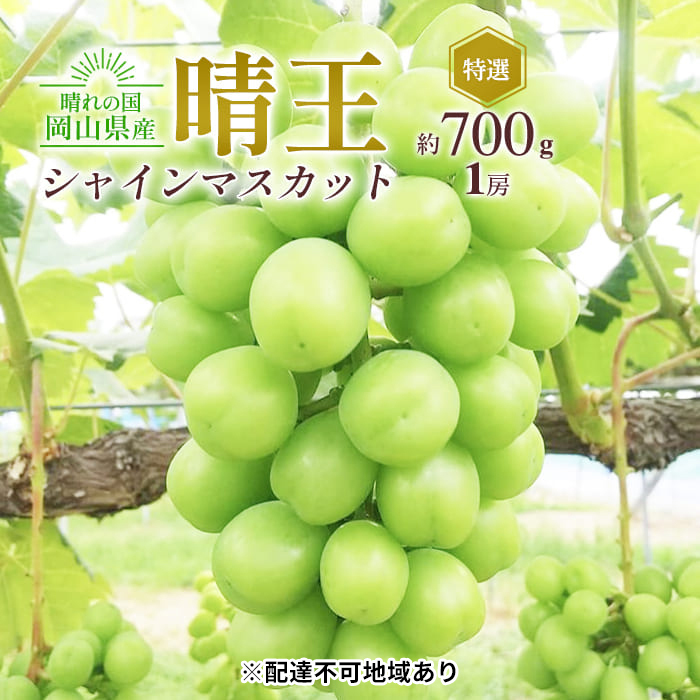 ぶどう 2025年 先行予約 シャイン マスカット 晴王 特選 1房 約700g 大粒 種無し ブドウ 葡萄 岡山県産 国産 フルーツ 果物 ギフト 橋田商店岡山県玉野市22000果物・フルーツマスカット・ぶどう