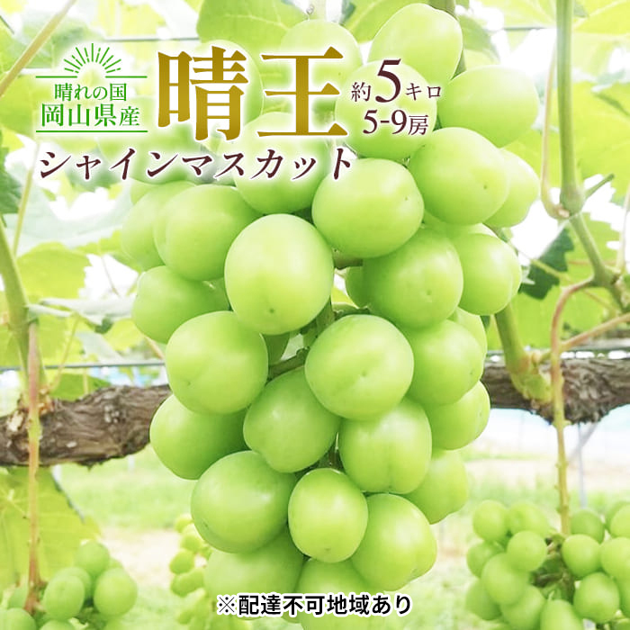 Ԃǂ 2025N s\ VC }XJbg  5`9[ v5kg 嗱 햳 uhE  RY Y t[c ʕ Mtg cXRʖs70000ʕEt[c}XJbgE