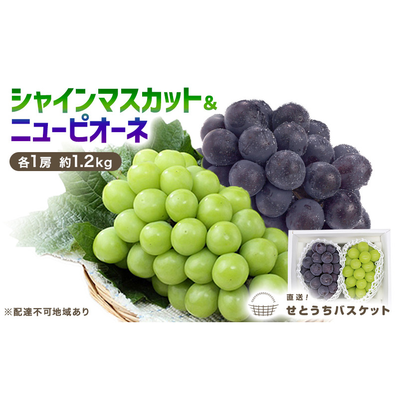 Ԃǂ 2025N s\ VC}XJbg j[ sI[l  e1[ 1.2kg uhE  RY Y t[c ʕ IƂoXPbgRʖs19000ʕEt[c}XJbg