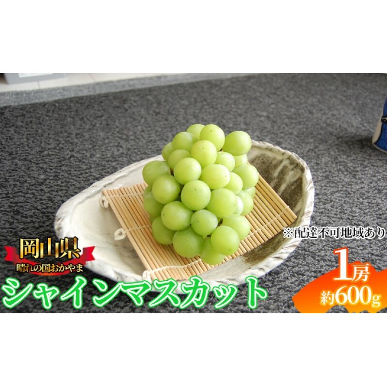 ぶどう 2025年先行予約 シャインマスカット 1房 約600g  岡山県産 お届け 9月上旬〜10月中旬岡山県玉野市15000果物・フルーツマスカット・ぶどう