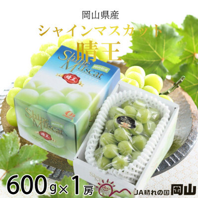 【2025年8月下旬より発送】岡山県産 シャインマスカット 晴王 600g×1房 ぶどう 葡萄 ブドウ フルーツ 果物岡山県玉野市12000果物・フルーツマスカット・ぶどう