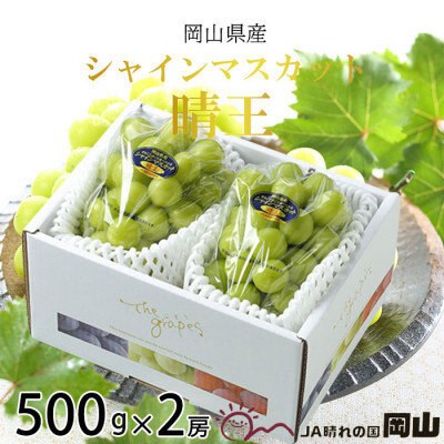 【2025年8月下旬より発送】岡山県産 シャインマスカット 晴王 500g×2房 ぶどう 葡萄 ブドウ フルーツ 果物岡山県玉野市18000果物・フルーツマスカット・ぶどう