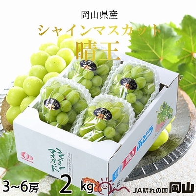 【2025年8月下旬より発送】岡山県産 シャインマスカット 晴王 2kg(3房〜6房) ぶどう 葡萄 ブドウ フルーツ 果物岡山県玉野市26000果物・フルーツマスカット・ぶどう