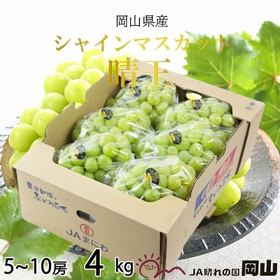 y2025N8{蔭zRY VC}XJbg  4kg(5[`10[) Ԃǂ  uhE t[c ʕRʖs47000ʕEt[c}XJbgEԂǂ