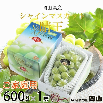 【2025年8月下旬より発送】ご家庭用 岡山県産 シャインマスカット 晴王 600g×1房 ぶどう 葡萄 ブドウ フルーツ 果物岡山県玉野市12000果物・フルーツマスカット・ぶどう