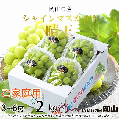【2025年8月下旬より発送】ご家庭用 岡山県産 シャインマスカット 晴王 2kg(3〜6房) ぶどう 葡萄 ブドウ フルーツ 果物岡山県玉野市24000果物・フルーツマスカット・ぶどう