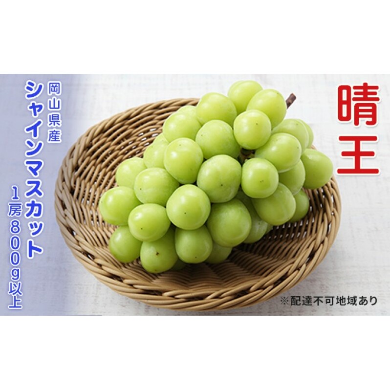 ぶどう 先行予約 シャインマスカット 晴王 1房 800g以上  ブドウ 葡萄  岡山県産 国産 フルーツ 果物 ギフト岡山県玉野市20000果物・フルーツマスカット・ぶどう