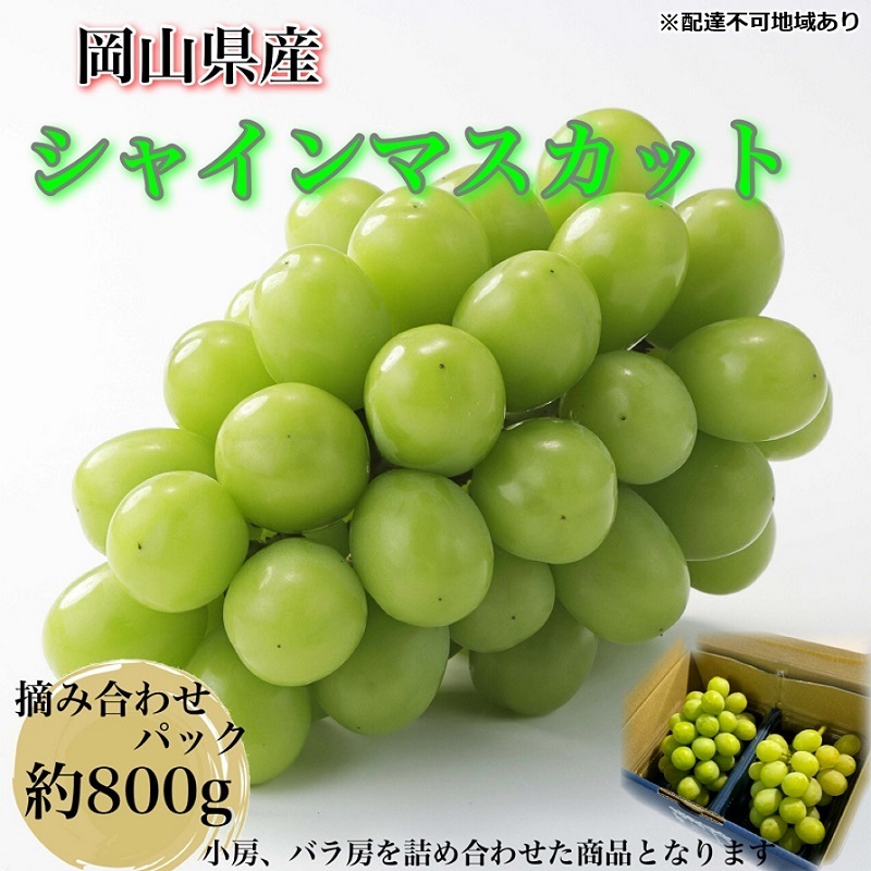 ぶどう 2025年 先行予約 【平均糖度20度】農家こだわりの シャインマスカット ご家庭用パック 合計約800g ブドウ 葡萄 岡山県産 国産 フルーツ 果物 ギフト 【 Nini farm 農家 直送 】岡山県玉野