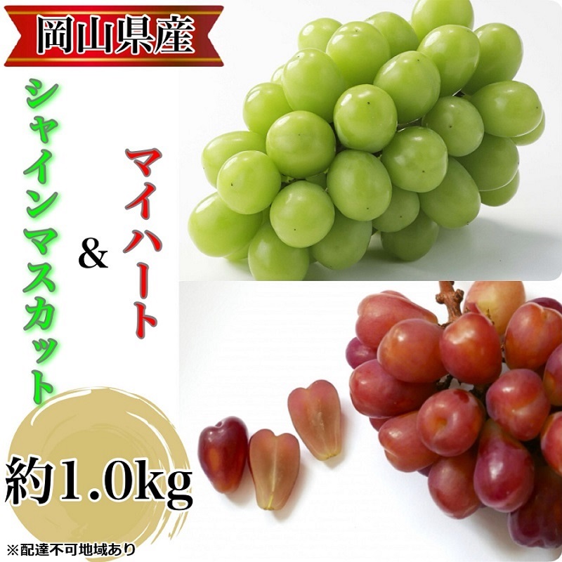 ぶどう 農家こだわりのシャインマスカット&ハート型のマイハート  合計約1.0kg ブドウ 葡萄 岡山県産 国産 フルーツ 果物 ギフト 【 Nini farm 農家 直送 】岡山県玉野市13000果物・フルーツマ