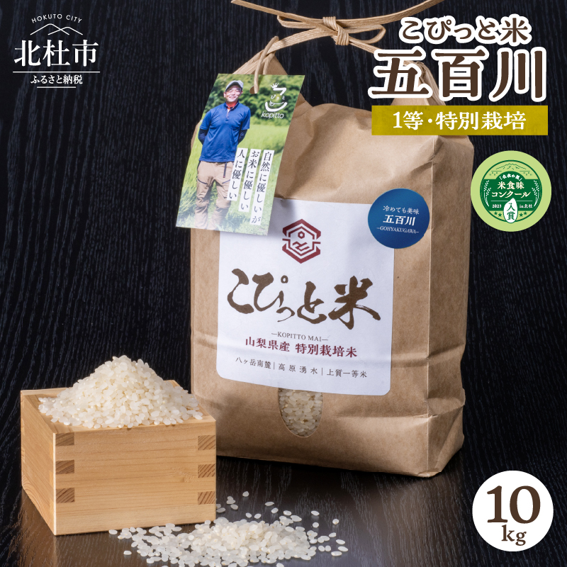 【令和7年度新米】【令和7年度米】】こぴっと米【五百川】10kg 1等特別栽培米100%山梨県北杜市36000米・パン白米