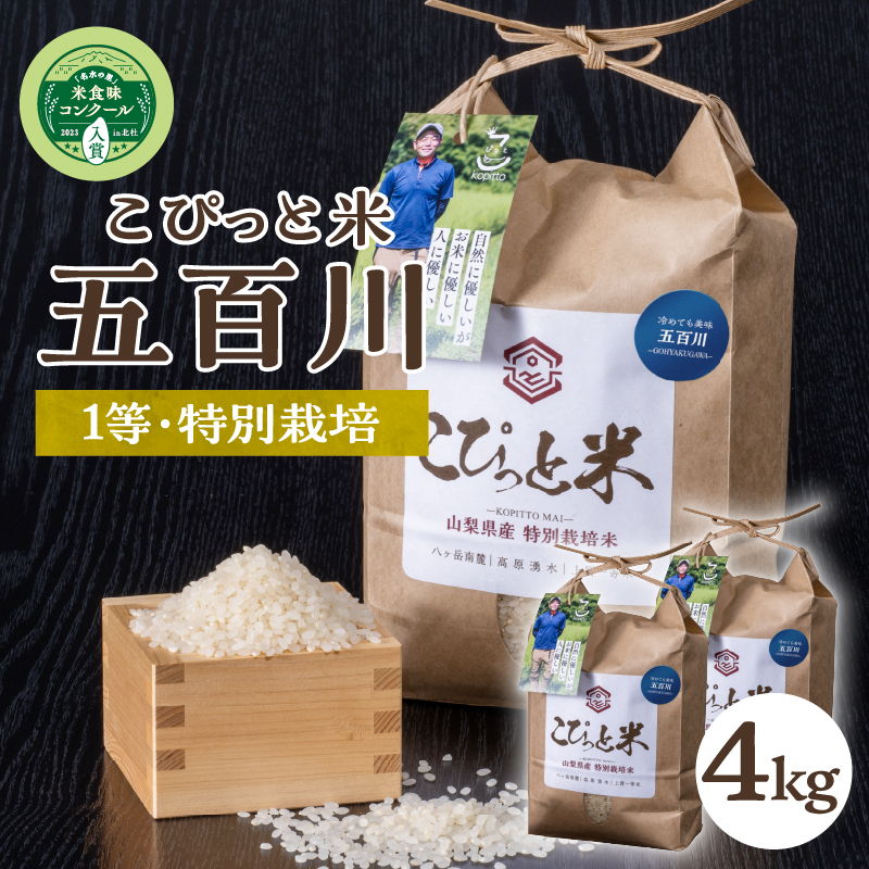 【令和7年度新米】【令和7年度米】こぴっと米【五百川】4kg 1等特別栽培米100%山梨県北杜市16000米・パン白米