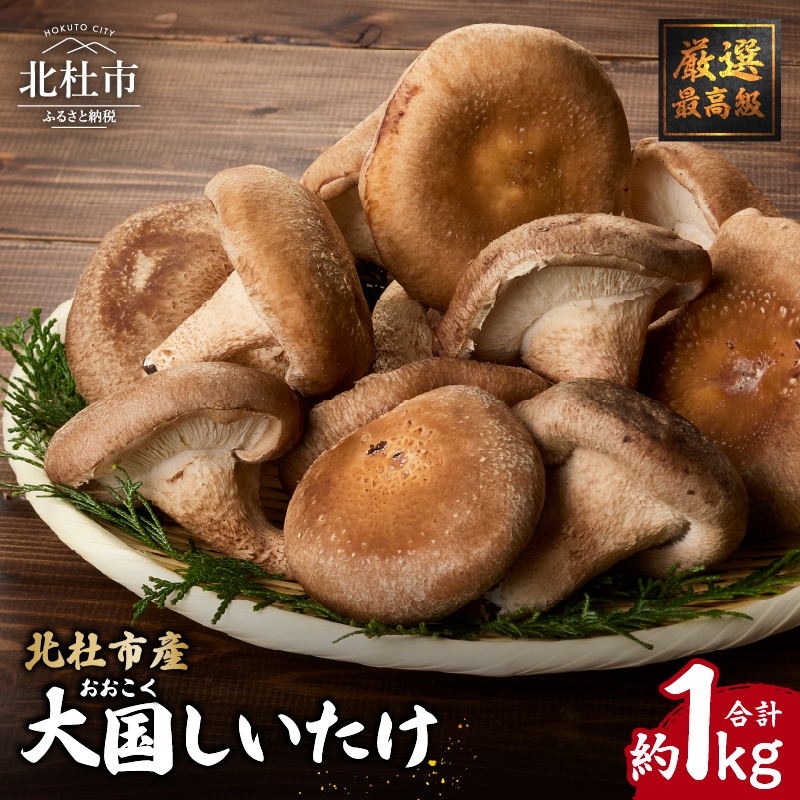 『大国しいたけ』菌床しいたけ 1kg山梨県北杜市15000野菜・きのこきのこ