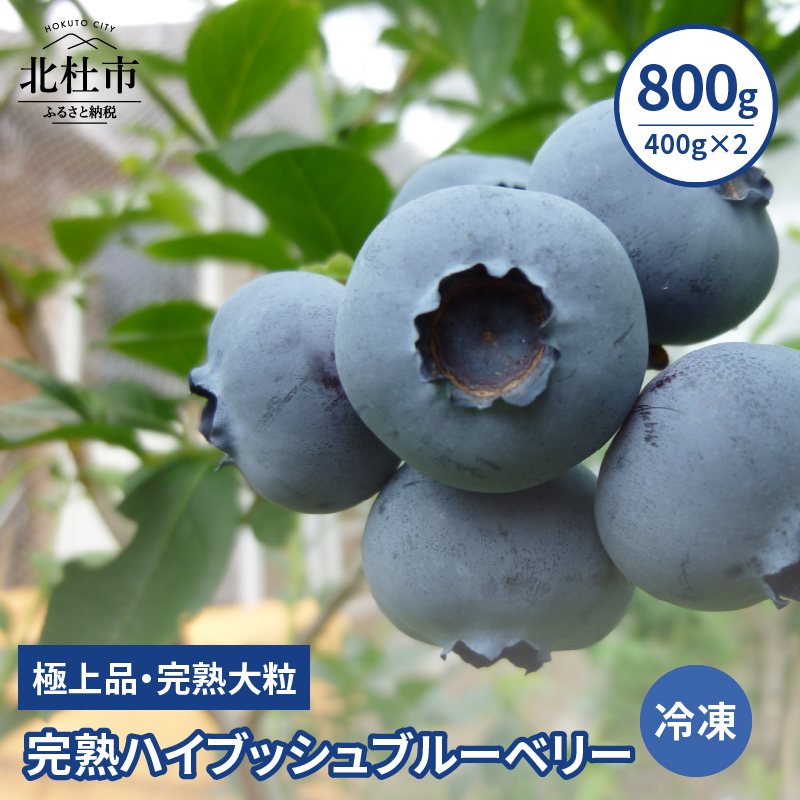 y2025Ns\zznnCubVu[x[(Ⓚ)800g(400g×2)Rkms13000ʕEt[c