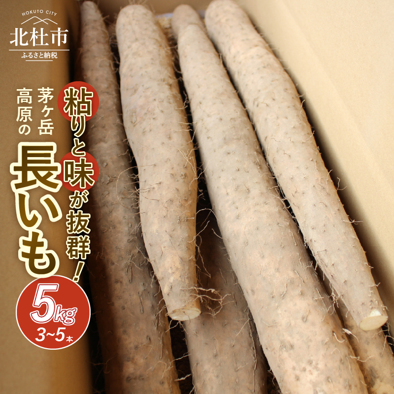 茅ヶ岳高原 粘りと味が抜群の長芋 5kg箱山梨県北杜市13000野菜・きのこじゃがいも・イモ類