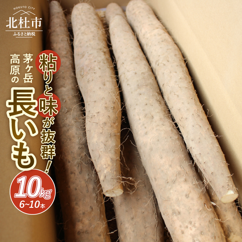 茅ヶ岳高原 粘りと味が抜群の長芋 10kg箱山梨県北杜市20000野菜・きのこじゃがいも・イモ類