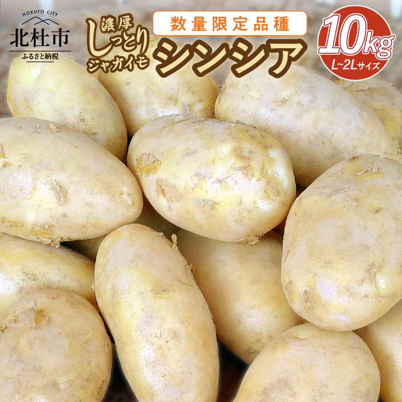 【ふるさと納税】 数量限定 ジャガイモ シンシア 濃厚 ほくほく ねっとり しっとり食感 10kg フランス原産 山梨県北杜市15000野菜・きのこじゃがいも・イモ類