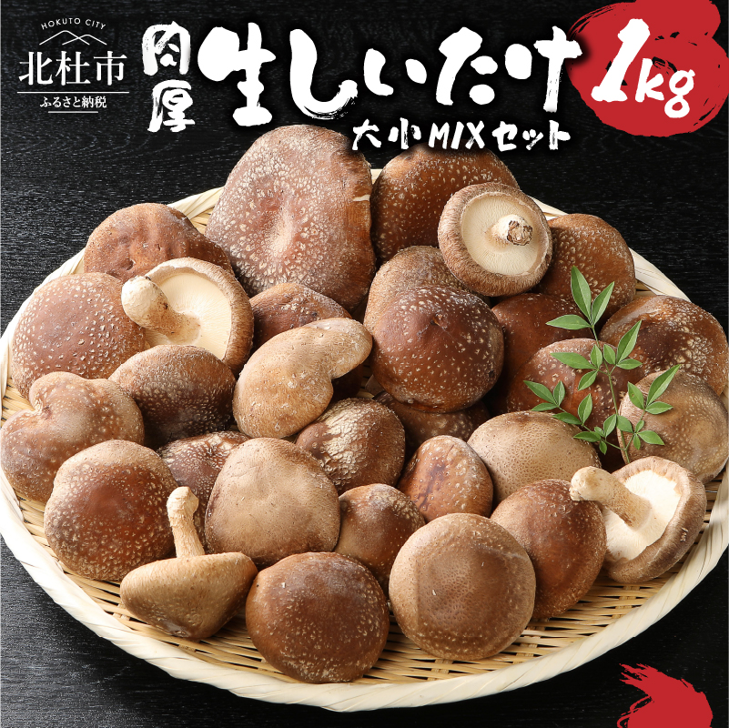  召MixZbg(1kg)Rkms6000؁Ê̂
