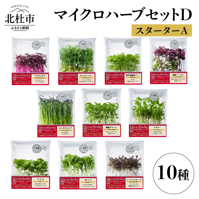 【ふるさと納税】ハーブ セット 10種類 アマランサス クレイジーピー 四川花椒菜(シセンホァジョーナ) 紫蘇パープル ロックチャイブ 紫蘇グリーン パクチー バジル ボリジ レッドマスタ