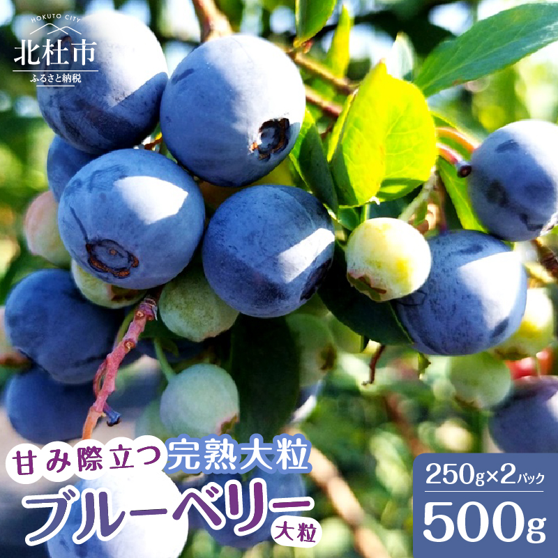 y2026Ns\z7`8\ ÂݍۗAn嗱u[x[ 500gi250g×2pbNjRkms11000ʕEt[c̑ ʕEt[c