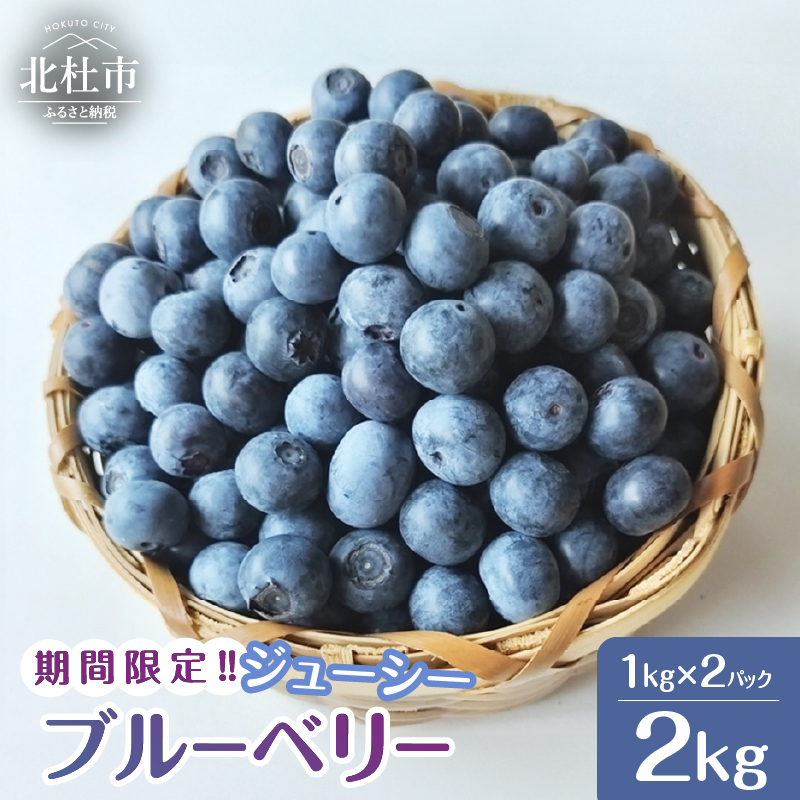 2025年産 大人気!甘くジューシーな冷凍ブルーベリー2kg(1kg×2パック)山梨県北杜市22000果物・フルーツその他 果物・フルーツ