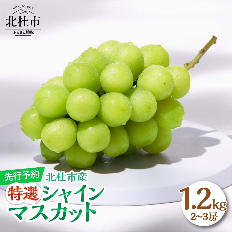 y2025Ns\zx[̓VRňĂVC}XJbg 1.2kg(2~3[)@IRkms15000ʕEt[c