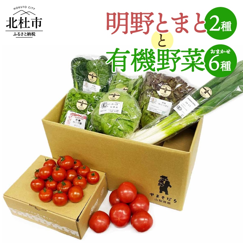 明野とまと2種と有機野菜おまかせ6種こだわりセット09山梨県北杜市13000野菜・きのこその他 野菜