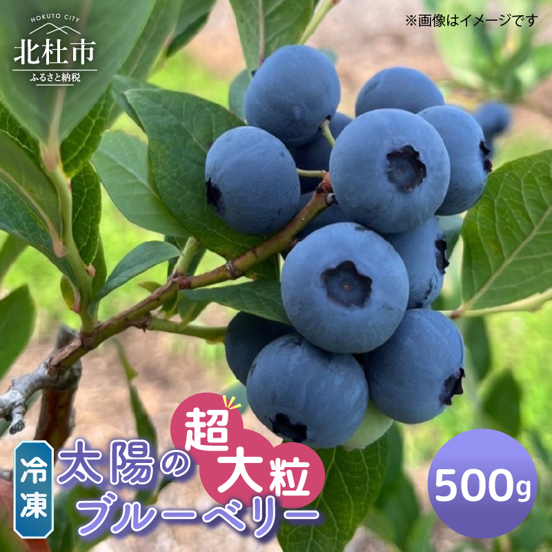 y嗱zRYiYjⓀ@u[x[500gRkms9000ʕEt[c̑ ʕEt[c