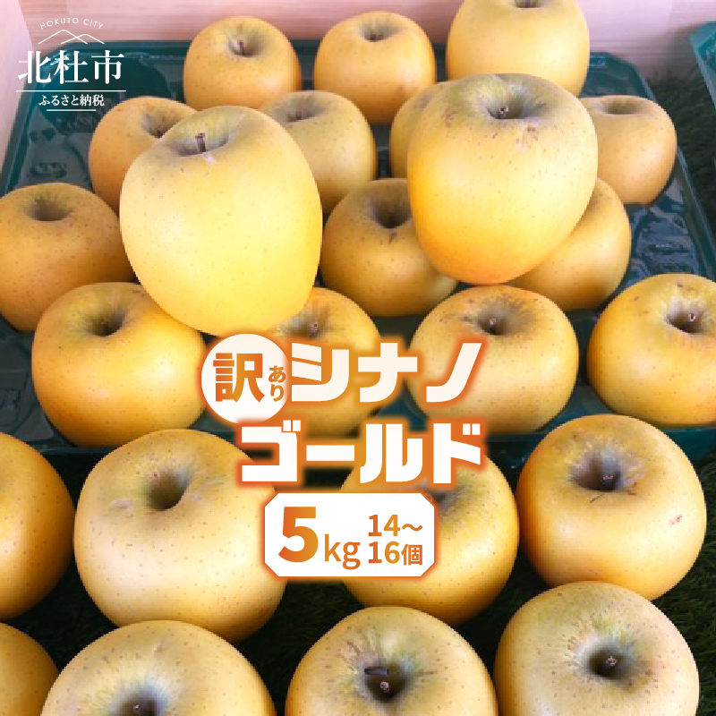 【2026年先行予約】【訳あり】シナノゴールド5kg(14個〜16個)山梨県北杜市16000果物・フルーツりんご・梨