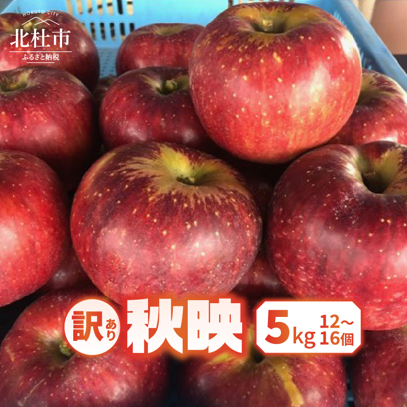 【2026年先行予約】【訳あり】秋映5kg(12個〜16個)山梨県北杜市16000果物・フルーツりんご・梨