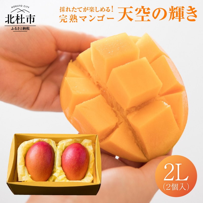 【2025年度先行予約】八ヶ岳・完熟マンゴー「天空の輝き」2L(2個入り)山梨県北杜市36000果物・フルーツマンゴー・パイナップル