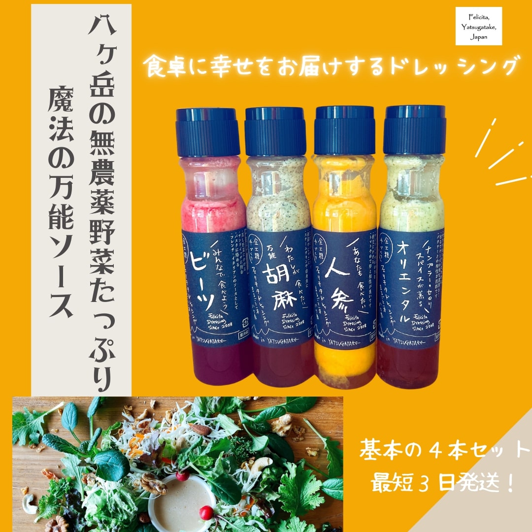 フェリチタドレッシング4本セット山梨県北杜市15000調味料・油ドレッシング